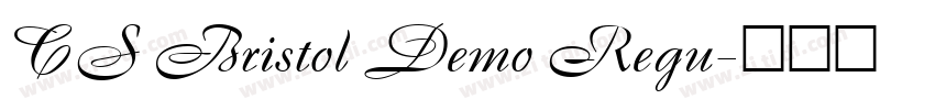 CS Bristol Demo Regu字体转换